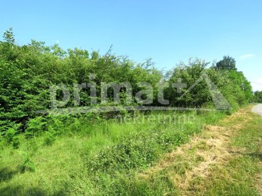 Land-/Forstwirtschaft zum Kauf 7.000 € Zdenac