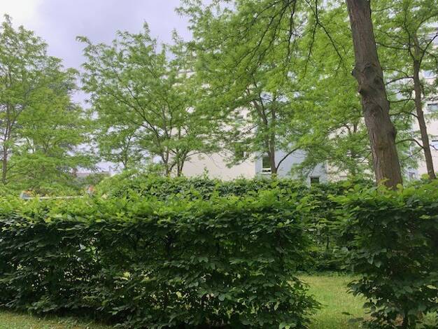 Wohnung zum Kauf 365.000 € 3 Zimmer 79 m² Westfriedhof Nürnberg 90425