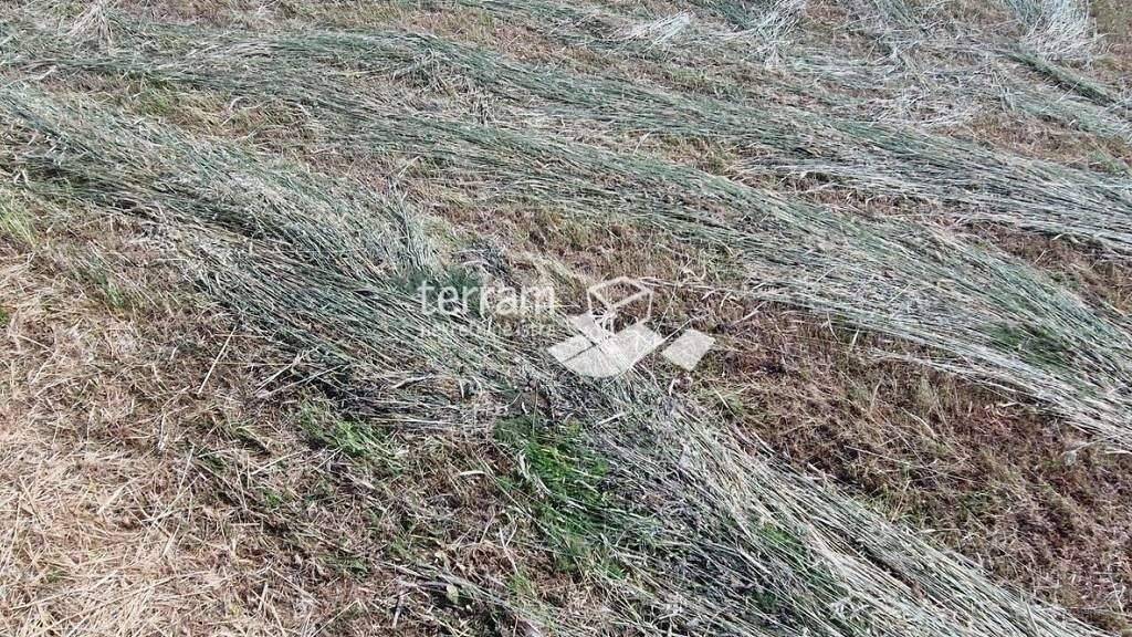 Land-/Forstwirtschaft zum Kauf 110.000 € Fazana