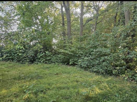 Grundstück zum Kauf 100.000 € 1.200 m² Grundstück Dipshorn Vorwerk 27412