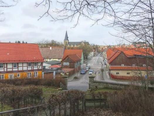 Sonstiges zum Kauf als Kapitalanlage geeignet 368.000 € 14 Zimmer 615 m² 612 m² Grundstück Elbingerode Elbinerode 38875