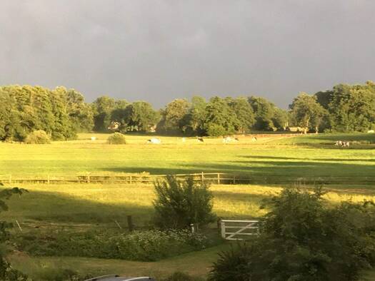 Haus zum Kauf 599.000 € 6 Zimmer 380 m² 2.200 m² Grundstück frei ab sofort Wingst 21789