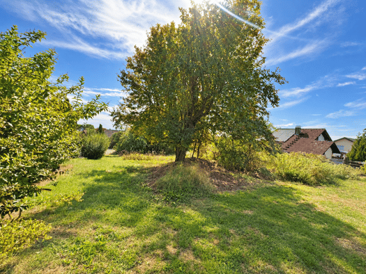 Grundstück zum Kauf 107.940 € 771 m² Grundstück frei ab sofort Hattingen Immendingen 78194