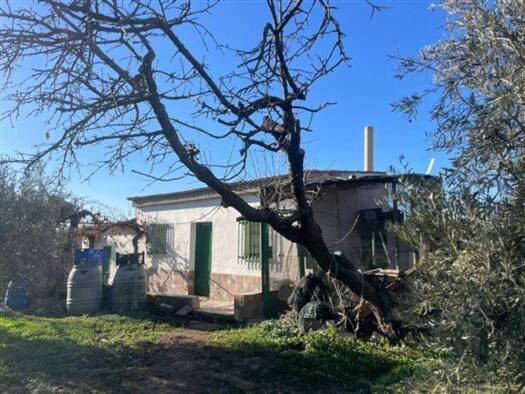 Villa zum Kauf 70.500 € 1 Zimmer 10.000 m² Grundstück Benalúa 18510