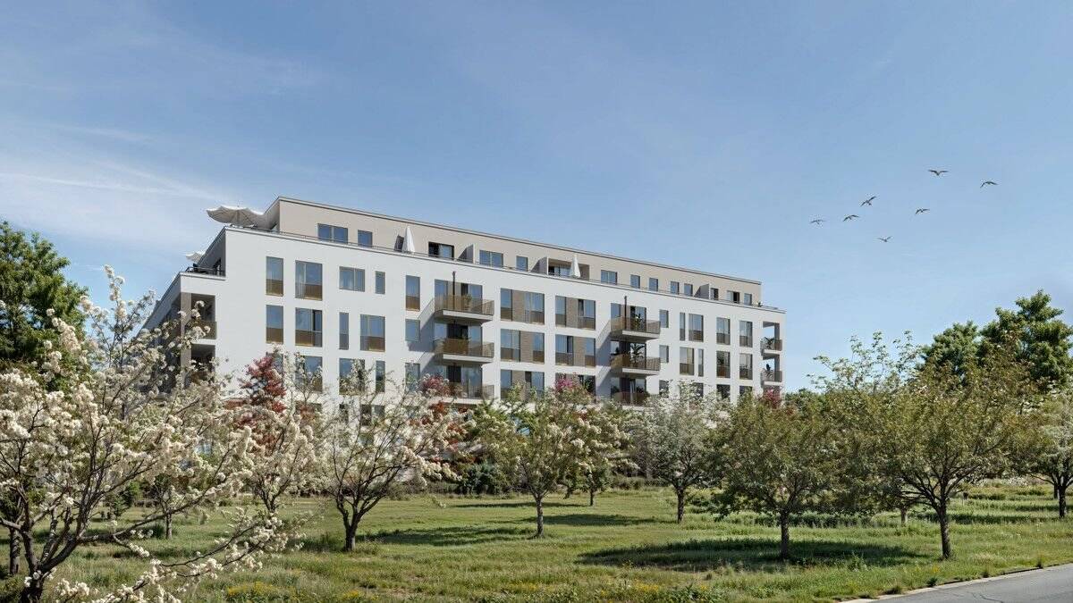 Property thumbnail 7