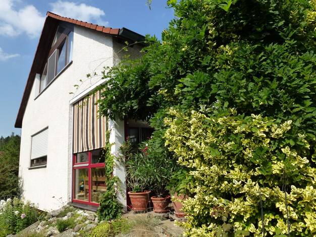 Studio zur Miete 420 € 2 Zimmer 55 m² Geschoss 1/2 frei ab 01.02.2026 Großschwarzenlohe Wendelstein 90530