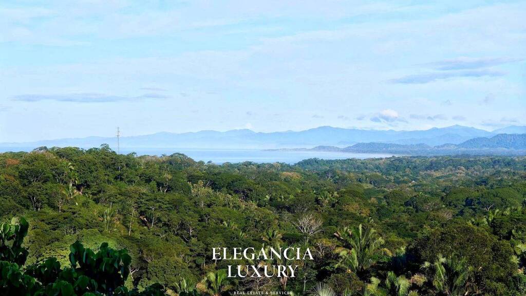 Bauernhof zum Kauf 1.658.293 € 7.147 m² Grundstück Cóbano