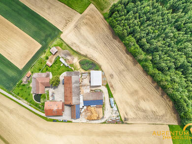Einfamilienhaus zum Kauf 1.300.000 € 10 Zimmer 280 m² 16.681 m² Grundstück Kuglöd Eichendorf 94428