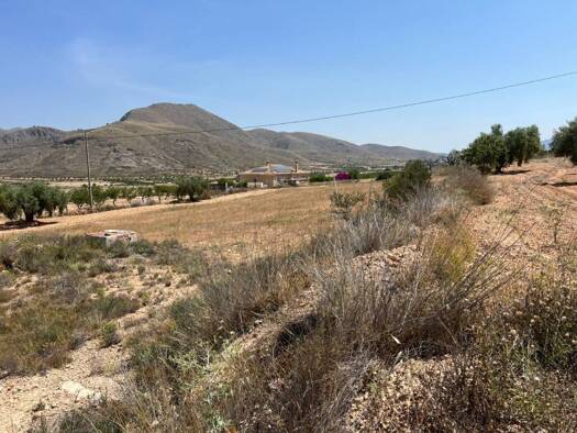 Acker-/Waldstück zum Kauf 50.000 € Orihuela 30640