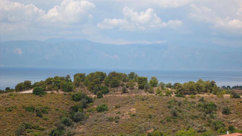 Land-/Forstwirtschaft zum Kauf 220.000 € 6.000 m² Grundstück Ostpeloponnes