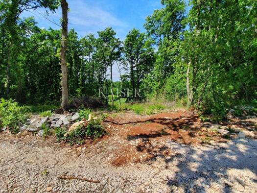 Wohn- und Gewerbegrundstück zum Kauf 65.000 € Sveti Lovreč Lovreć 52440