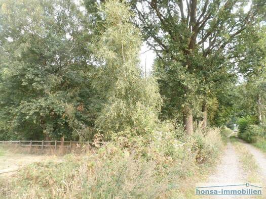 Land-/Forstwirtschaft zum Kauf 15.000 € 6.055 m² Grundstück Wohnste 27419