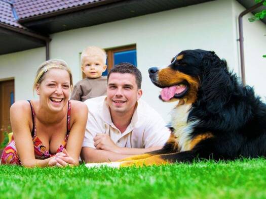 Einfamilienhaus zum Kauf 649.900 € 10 Zimmer 288 m² 758 m² Grundstück Rimpar 97222