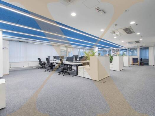 Büro zur Miete 11.774 € Pasching 4061
