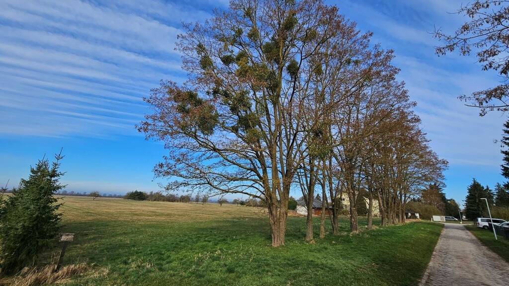 Grundstück zum Kauf provisionsfrei 56.000 € 14.000 m² Grundstück Baugenehmigung vorhanden Schwerinsburg 32 a Schwerinsburg Ducherow 17398