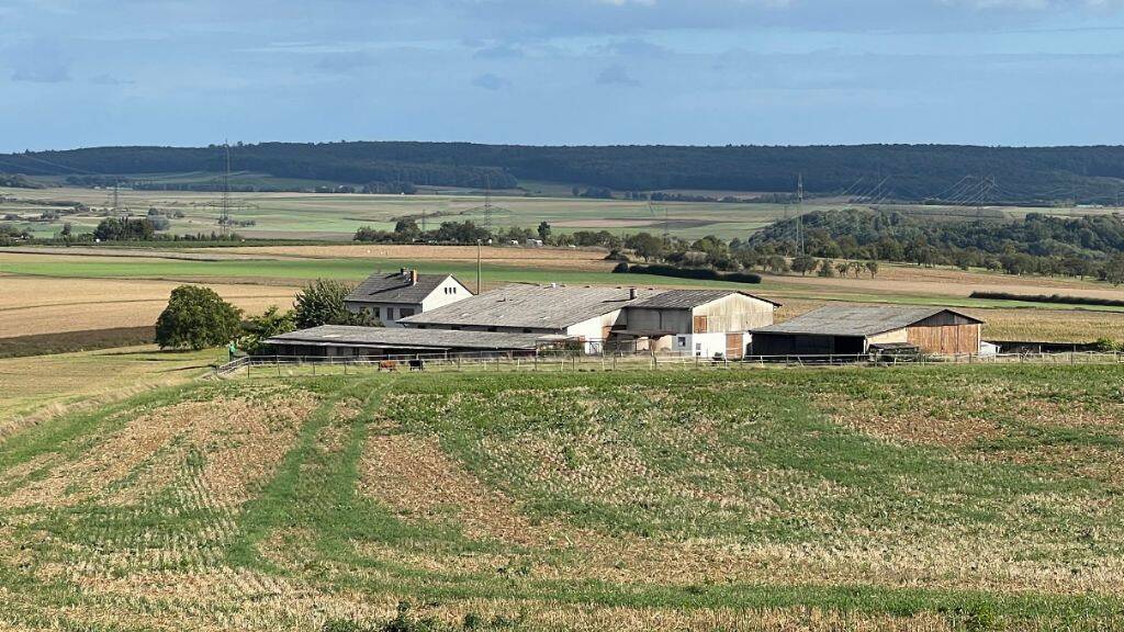 Bauernhof zum Kauf 785.000 € 15.000 m² Grundstück Ober-Hörgern Münzenberg - Münzenberg 35516