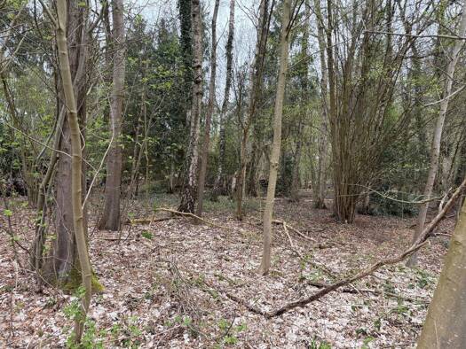 Forstwirtschaft zum Kauf 15.000 € 5.879 m² Grundstück Klein Nordende 25336