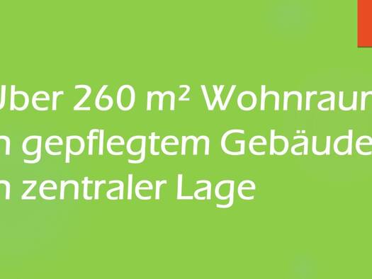 Wohnung zum Kauf 475.000 € 12 Zimmer 263 m² 3 Geschosse frei ab sofort Lampertheim Lampertheim 68623