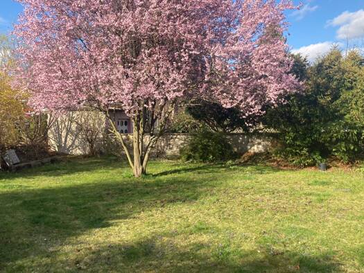 Wohnung zur Miete 522 € 3 Zimmer 87 m² Geschoss EG/3 frei ab sofort Ebersdorf Chemnitz 09131