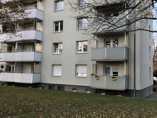Wohnung zur Miete 267 € 2 Zimmer 43,9 m² EG Geschwister-Scholl-Straße 1 Kamenz 01917