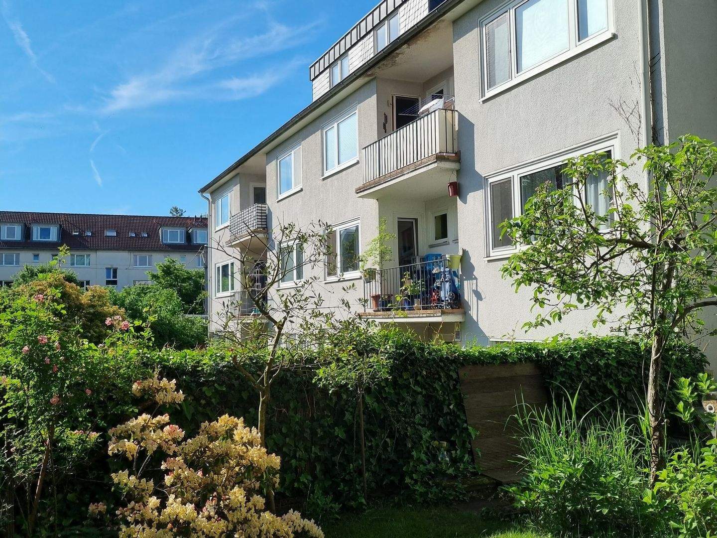 Property thumbnail 6