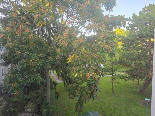 Studio zum Kauf 155.000 € 1 Zimmer 32 m² 2. Geschoss Wien 1210