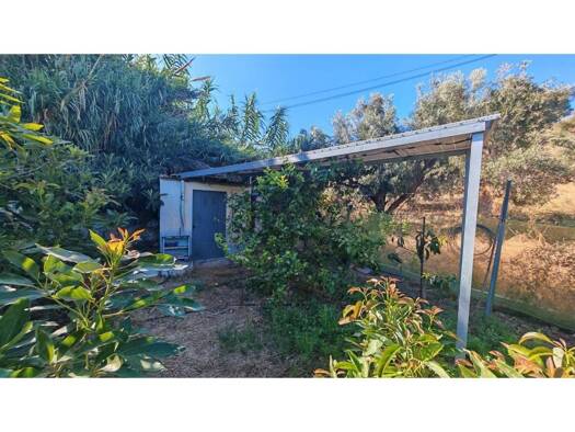 Acker-/Waldstück zum Kauf 90.000 € Torrox 29793