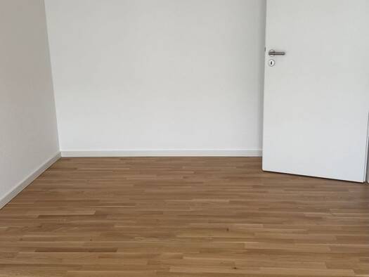 Wohnung zur Miete 550 € 2 Zimmer 41,9 m² 1. Geschoss frei ab 01.10.2026 Louis-Pasteur-Straße 1 Lahr Lahr/Schwarzwald 77933