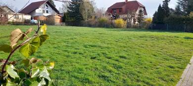 Grundstück zum Kauf provisionsfrei 780 m² Grundstück Pölzig Pölzig 07554