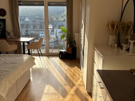 Studio zur Miete 336 € 1 Zimmer 23 m² Geschoss 3/3 frei ab 01.05.2026 Trier-West-Pallien Trier 54294