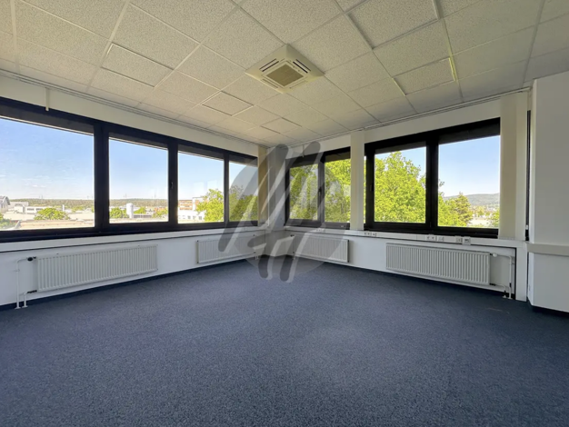 Bürofläche zur Miete provisionsfrei 8 € 560 m² Bürofläche teilbar ab 600 m² Wolfgang Hanau 63457