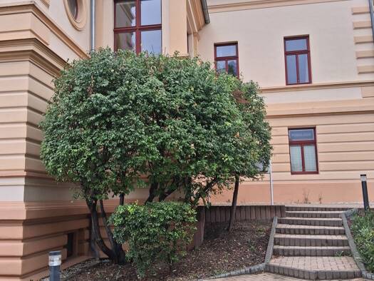 Terrassenwohnung zur Miete 658 € 4 Zimmer 94 m² 3 Geschosse frei ab sofort Pößneck,Stadt Pößneck 07381