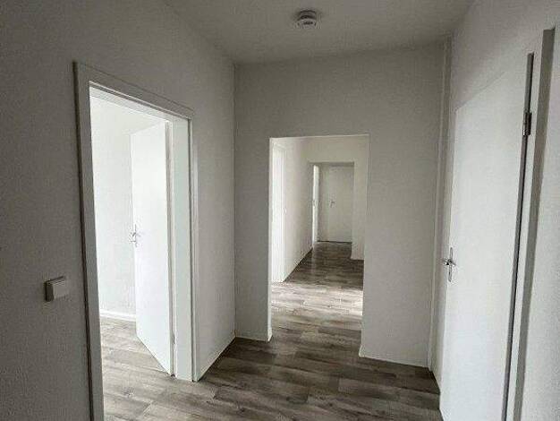 Wohnung zur Miete 299 € 2 Zimmer 46 m² 2. Geschoss Arthur-Strobel-Str. 32 Gablenz Chemnitz 09127