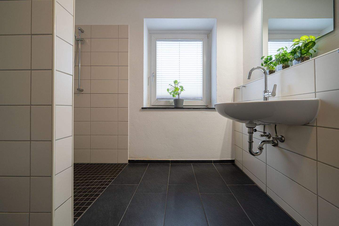 Haus zum Kauf – pohled 5