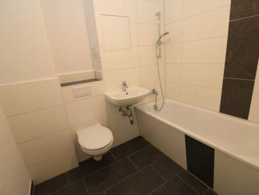 Wohnung zur Miete 329 € 2 Zimmer 44,9 m² 2. Geschoss Tschaikowskistraße 51 Freiberg 09599