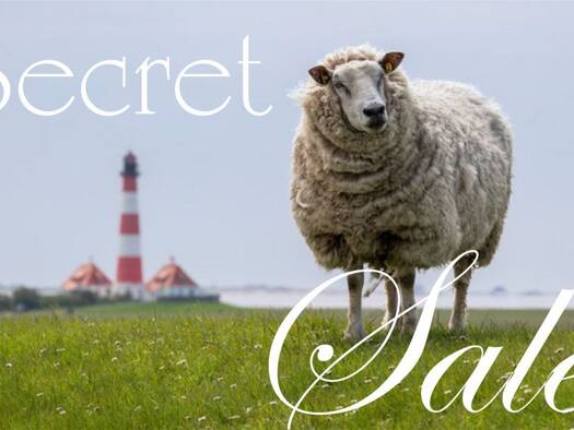 Bauernhaus zum Kauf 1.200.000 € 9 Zimmer 225 m² 14.000 m² Grundstück Westerhever 25881