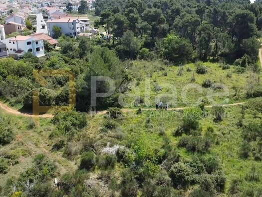 Wohn- und Gewerbegrundstück zum Kauf 775.800 € Zadar 23000
