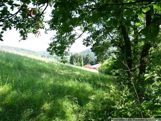 Grundstück zum Kauf 75.000 € 1.320 m² Grundstück Wolfstein 67752
