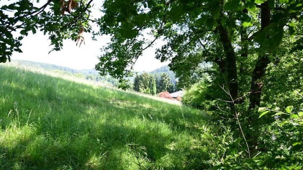 Grundstück zum Kauf 75.000 € 1.320 m² Grundstück Wolfstein 67752