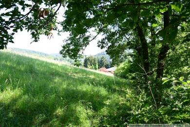 Grundstück zum Kauf 75.000 € 1.320 m² Grundstück Wolfstein 67752