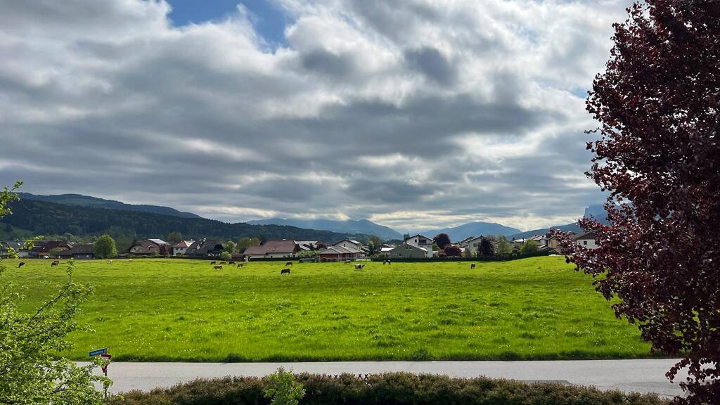 Wohnung zur Miete Wohnen auf Zeit 2.310 € 2 Zimmer 80 m² frei ab sofort Salzburg 5303