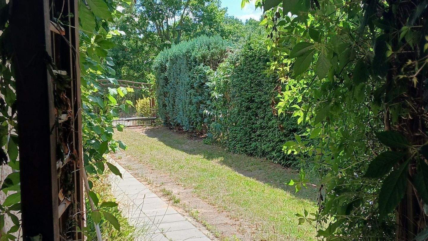 Immobilie in Rauen - Rauen/Stadtberge - kleines Haus, Garage  - Grundstück      - Bild 4