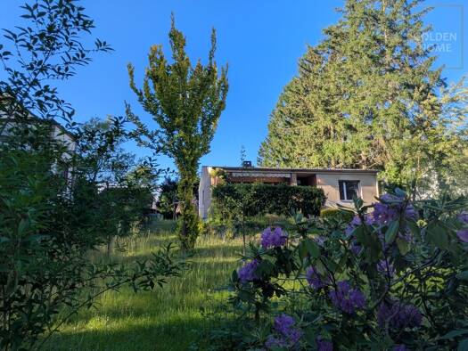 Bungalow zum Kauf 799.000 € 3,5 Zimmer 125 m² 980 m² Grundstück Hermsdorf Reinickendorf 13467