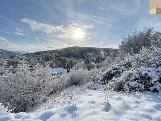 Grundstück zum Kauf 999.000 € 3.450 m² Grundstück Gießhübl 2372