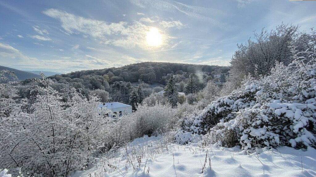 Grundstück zum Kauf 999.000 € 3.450 m² Grundstück Gießhübl 2372