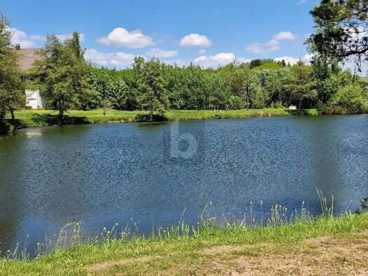 Gewerbegrundstück zum Kauf 990.000 € 5.964 m² Grundstück Herrischried 79737