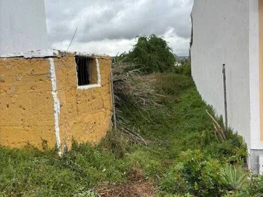 Wohn- und Gewerbegrundstück zum Kauf 180.000 € Calle Palafox, 24 Telde 35211