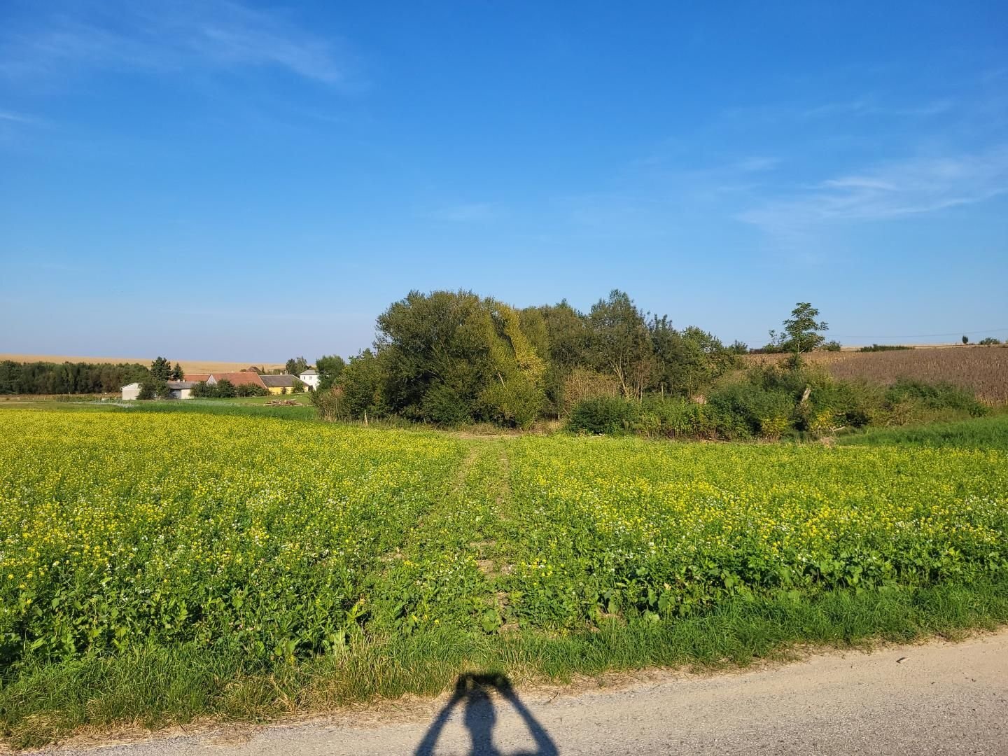 Landwirtschaftliche Fläche zum Kauf 10.229 m²<br/>Grundstück Herzogenburg 3130