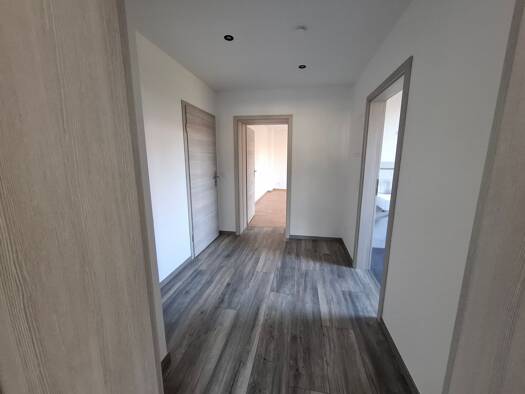Wohnung zur Miete 325 € 1 Zimmer 50 m² Geschoss EG/3 frei ab 01.09.2026 Cunersdorf Kirchberg 08107