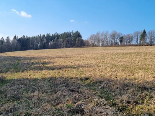 Land-/Forstwirtschaft zum Kauf 50 CZK Halze 34701